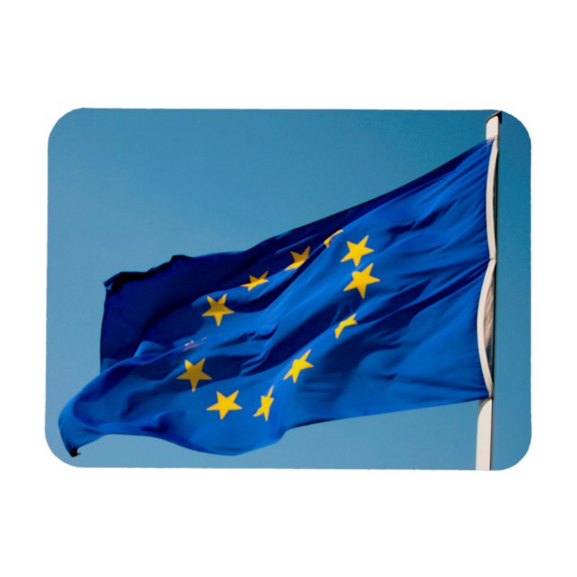 EU flag Magnet (Horizontal)