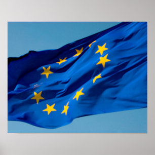 EU flag Poster