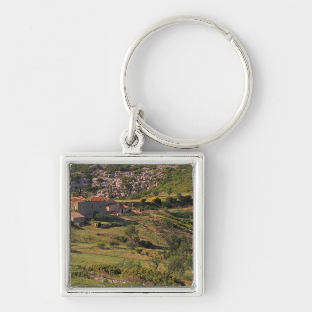 EU, France, Provence, Bouches, du, Rhone, 9 Key Ring (Front)