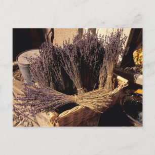 EU, France, Provence, Bouches, du, Rhone, Les Postcard
