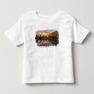 EU, France, Provence, Gard, Pont du Gard. 2 Toddler T-Shirt