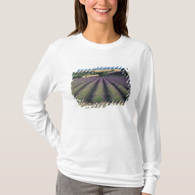 EU, France, Provence, Lavender fields 2 T-Shirt (Front)