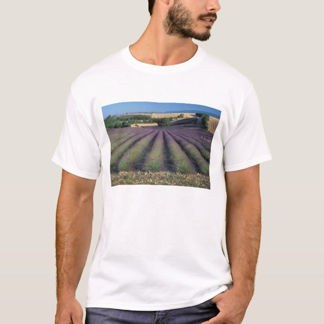 EU, France, Provence, Lavender fields 2 T-Shirt (Front)