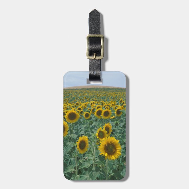 EU, France, Provence, Sunflower field Luggage Tag (Front Vertical)