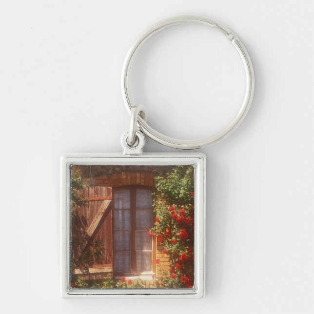 EU, France, Provence, Vaucluse, Apt. House 2 Key Ring (Front)