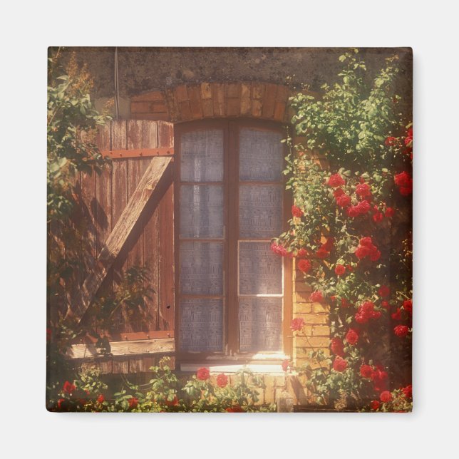EU, France, Provence, Vaucluse, Apt. House 2 Magnet (Front)