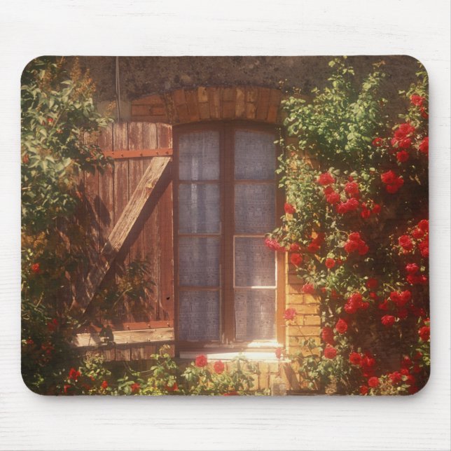 EU, France, Provence, Vaucluse, Apt. House 2 Mouse Pad (Front)