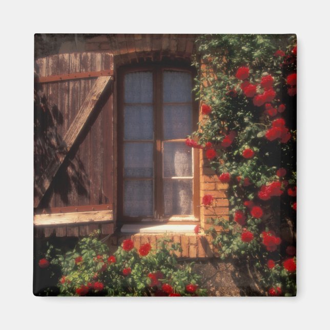 EU, France, Provence, Vaucluse, Apt. House Magnet (Front)