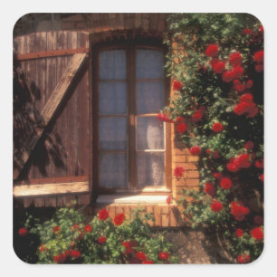 EU, France, Provence, Vaucluse, Apt. House Square Sticker