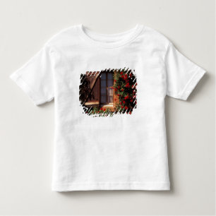 EU, France, Provence, Vaucluse, Apt. House Toddler T-Shirt