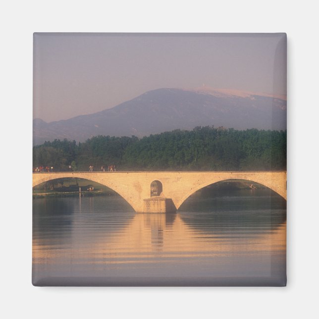 EU, France, Provence, Vaucluse, Avignon. Pont Magnet (Front)