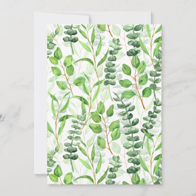 Eucalyptus (Front)