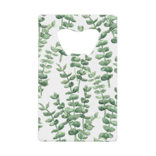 Eucalyptus 1