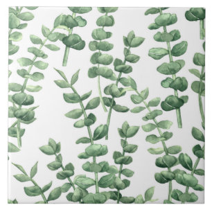 Eucalyptus 1 tile