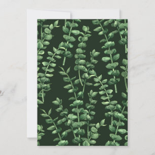 Eucalyptus 2
