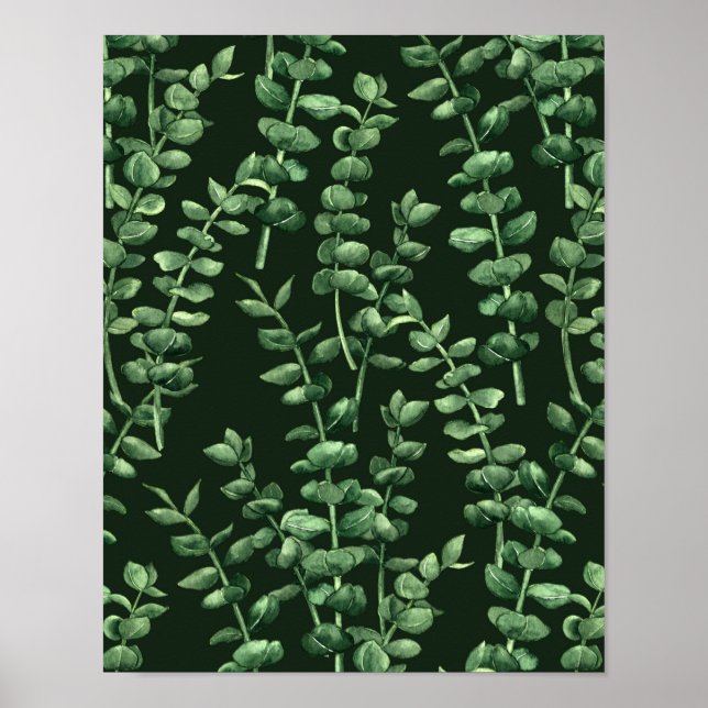 Eucalyptus 2 poster (Front)