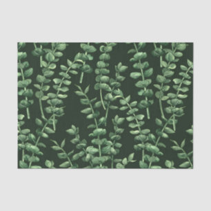 Eucalyptus 2 tissue paper