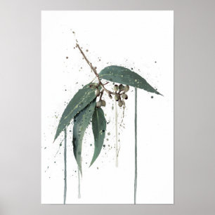 Eucalyptus’ (Australian) Poster