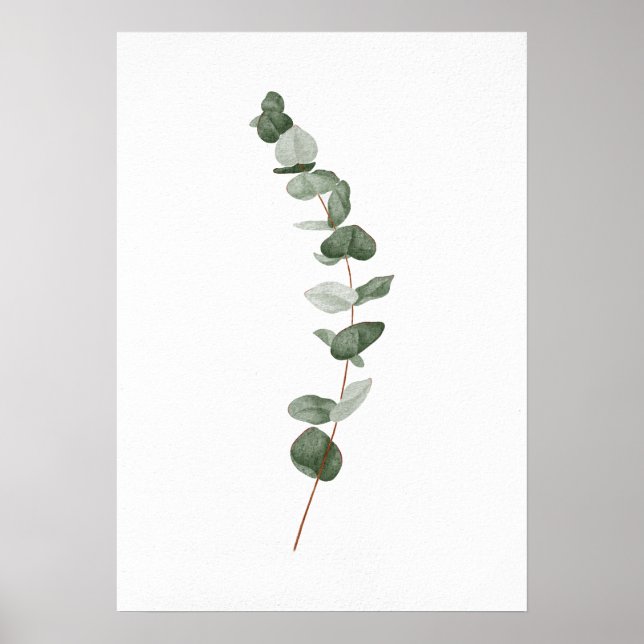 Eucalyptus Branch Poster (Front)