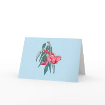 Eucalyptus  (Corymbia ficifolia) on Blue