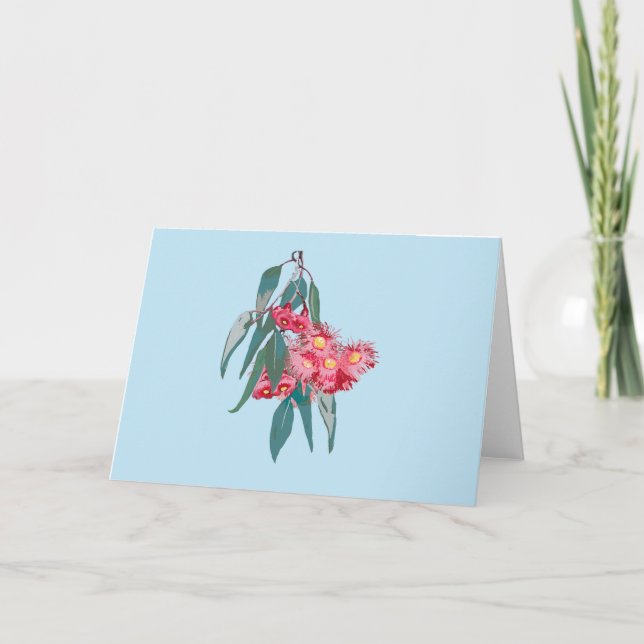 Eucalyptus  (Corymbia ficifolia) on Blue Card (Front)