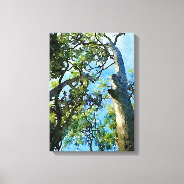 Eucalyptus Forest Canvas Print (Front)