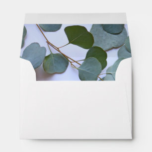 Eucalyptus full envelope