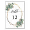 Eucalyptus geometric frame wedding table number