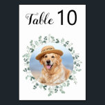 Eucalyptus Greenery Modern Dog Photo Pet Wedding Table Number<br><div class="desc">Table numbers by from your pets! Include your best dog, best cat and any pet in your wedding with his own table numbers for your guests. Perfect for dog lovers, and a special dog table numbers will be a hit at your wedding. Simple yet elegant white with eucalyptus leaves. Customise...</div>