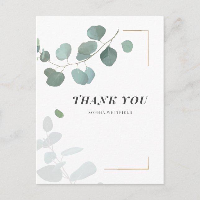 Eucalyptus Greenery Succulents Gold Frame Postcard (Front)