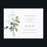 Eucalyptus Greenery Wedding Save the Date Announcement Postcard<br><div class="desc">This chic eucalyptus greenery is perfect for your special announcement! And the postcard format makes it so easy!</div>