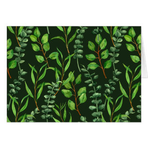 Eucalyptus  on dark green