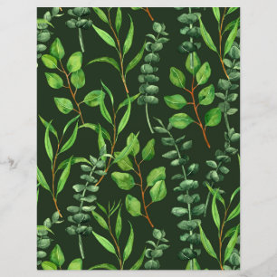 Eucalyptus on dark green