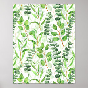 Eucalyptus Poster
