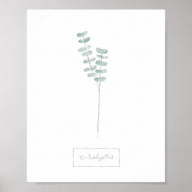 Eucalyptus poster (Front)