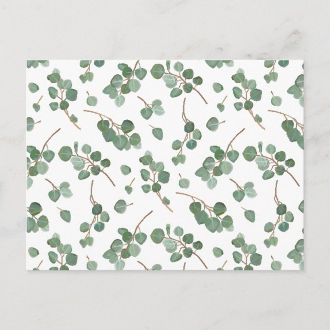 Eucalyptus Silver Dollar Tree Foliage Pattern Holiday Postcard (Front)