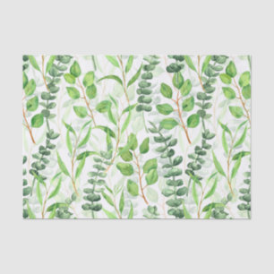 Eucalyptus Tissue Paper