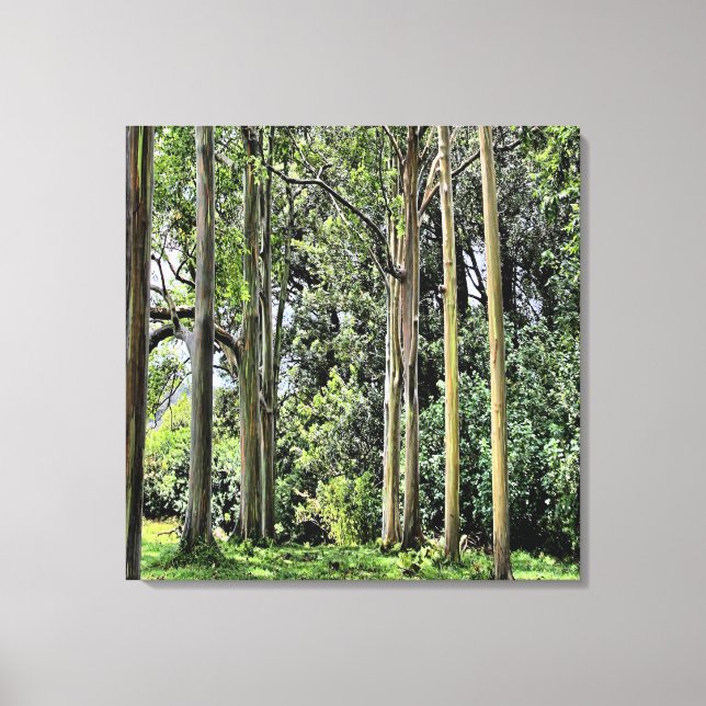 Eucalyptus Triple Canvas (Front)