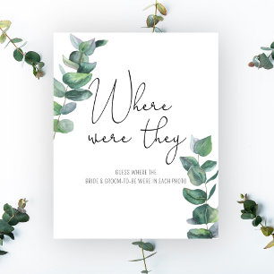 Eucalyptus - Where Were They Poster