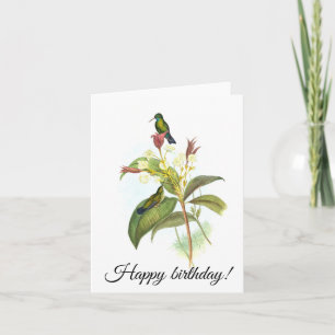 Eucephala caerulea (Blue-chinned Sapphire)   Card