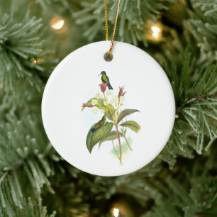 Eucephala caerulea (Blue-chinned Sapphire) Ceramic Tree Decoration
