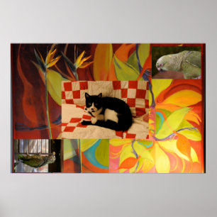 Euclid's Dream Poster