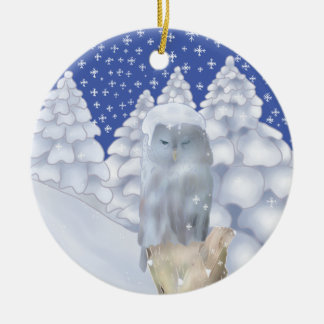 Eule im Schnee Ceramic Tree Decoration