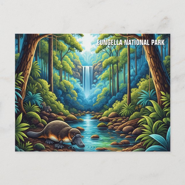 Eungella National Park Australia Postcard (Front)
