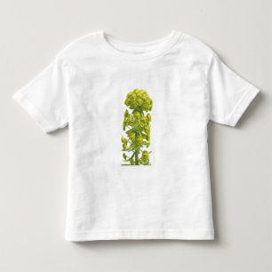 Euphorbia Toddler T-Shirt