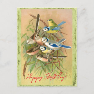 Eurasian blue tit and long-tailed tit postcard