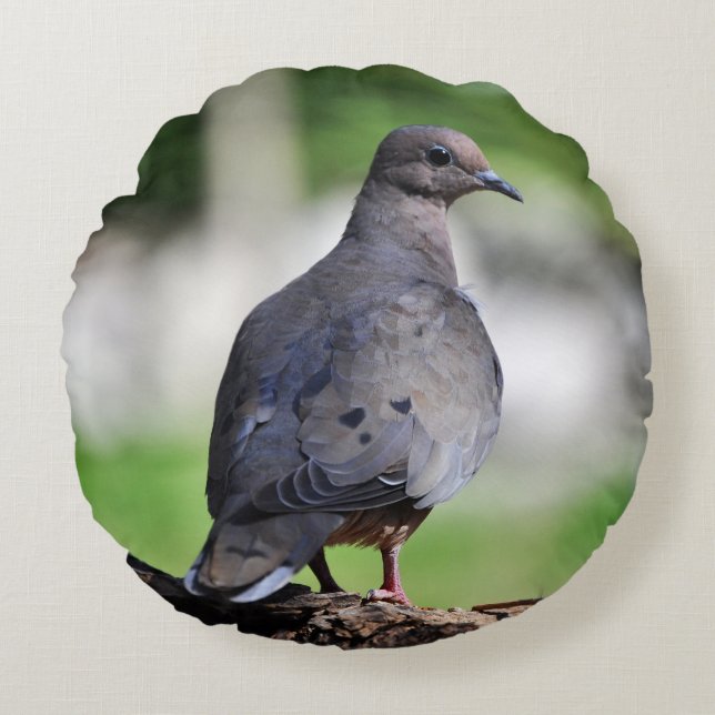 Eurasian collared dove or turtle dove round cushion (Front)