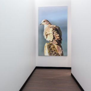 Eurasian Collared Dove Wildlife Art Canvas Print