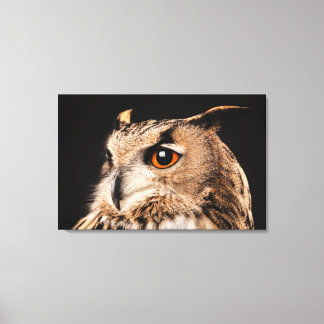 Eurasian Eagle Owl Canvas Print