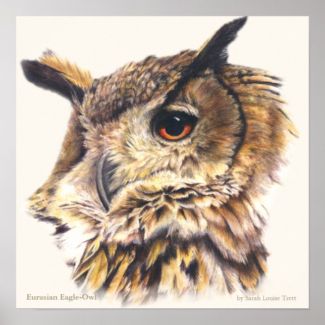 Eurasian Eagle Owl Ornithological fine art poster (Front)